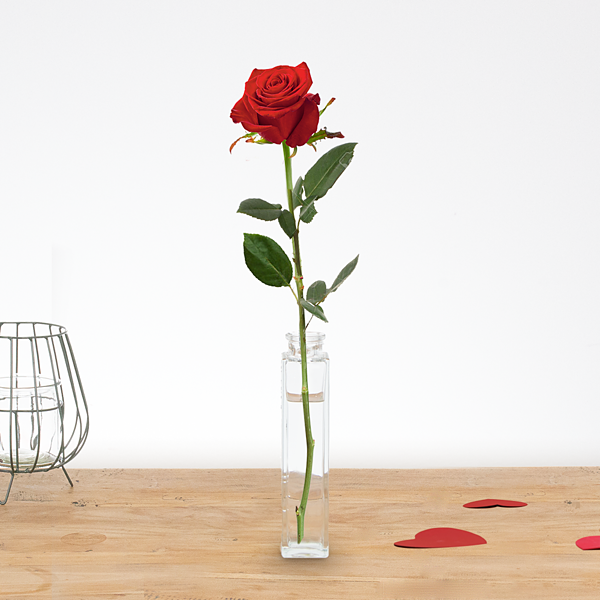 Kan niet lezen of schrijven wetenschapper de eerste 1 tot 10 lange rode rozen bestellen en bezorgen - Topbloemen.nl