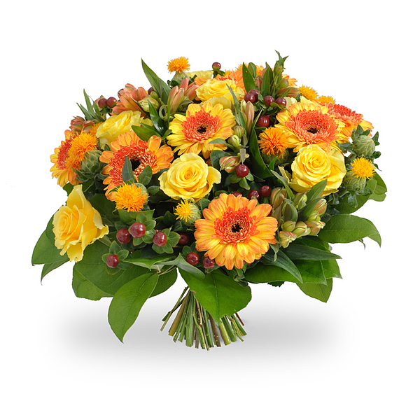 bloemen bezorgen oss bloemen bezorgen oss